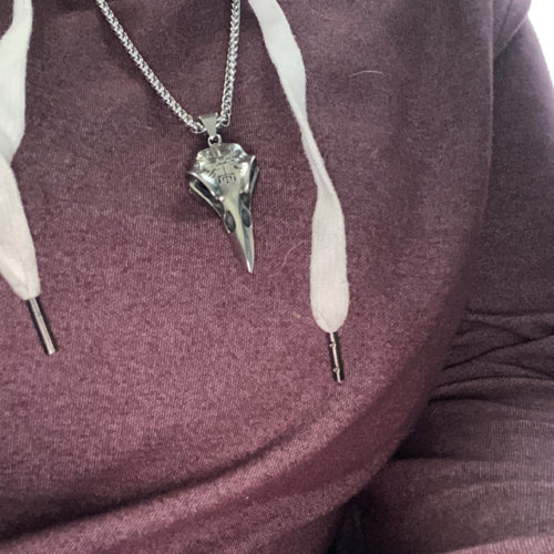 Viking Raven Skull Vegvisir Stainless Steel Pendant Necklace photo review
