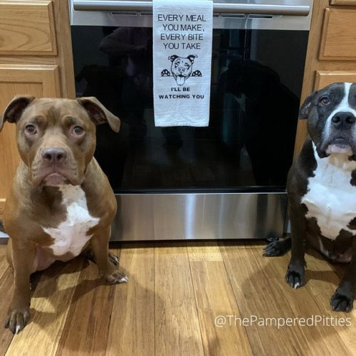 Pitbull Dog Kitchen Towel Funny photo review