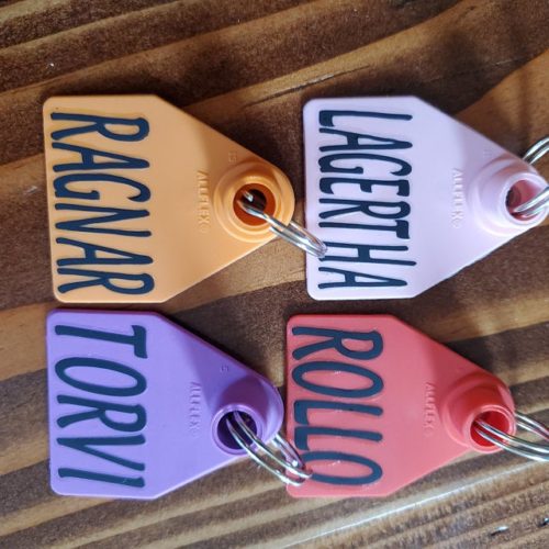 Custom Dog Tag | Personalized Pet ID Tags photo review